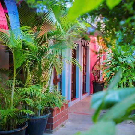 Hotel Las Golondrinas Oaxaca Luaran gambar