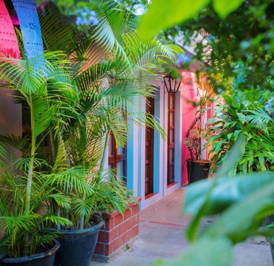 Hotel Las Golondrinas Oaxaca Luaran gambar