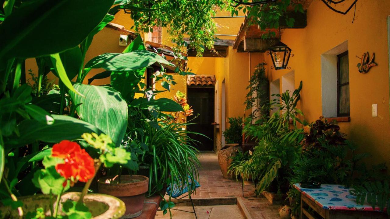 Hotel Las Golondrinas Oaxaca Luaran gambar