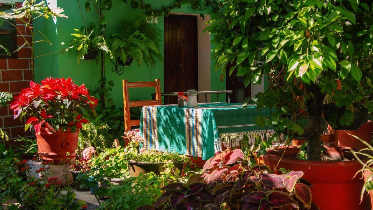 Hotel Las Golondrinas Oaxaca Luaran gambar