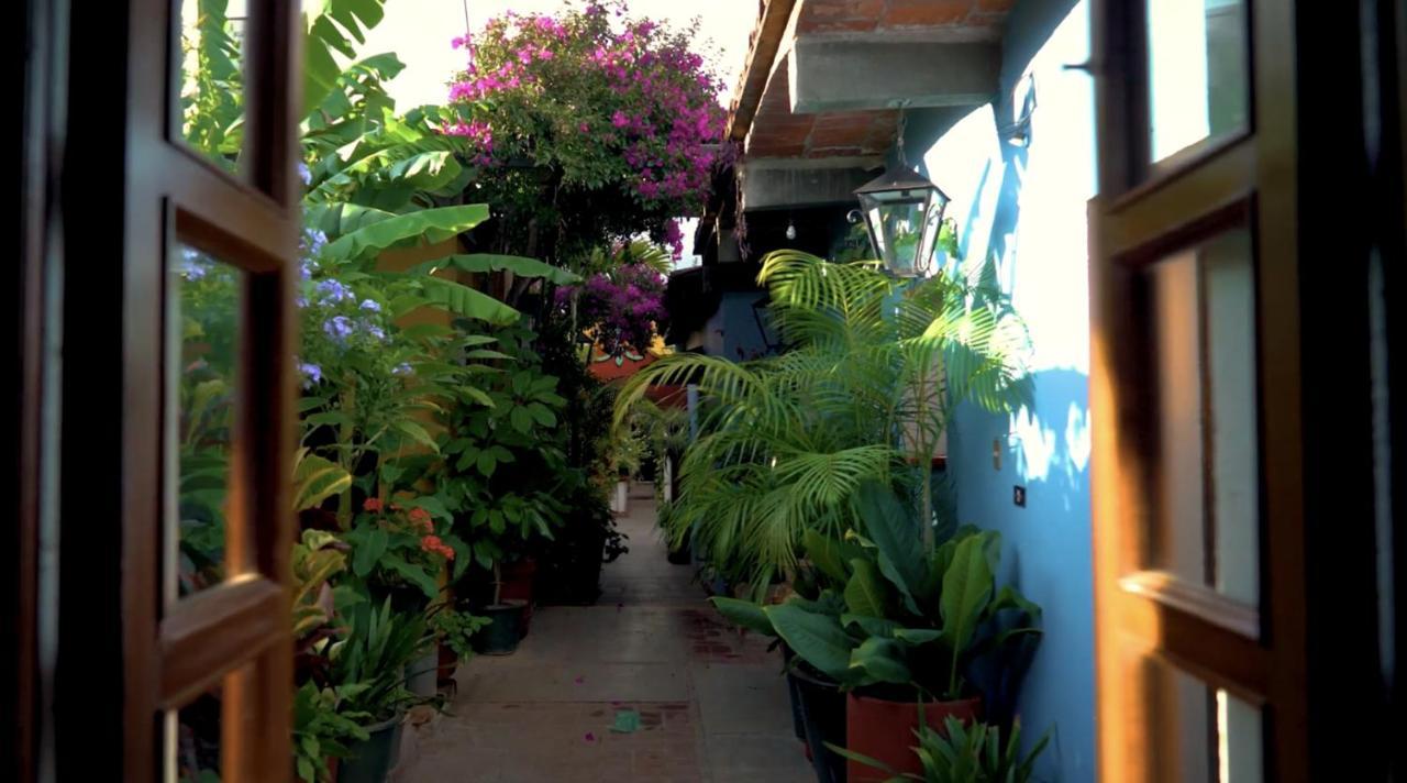Hotel Las Golondrinas Oaxaca Luaran gambar