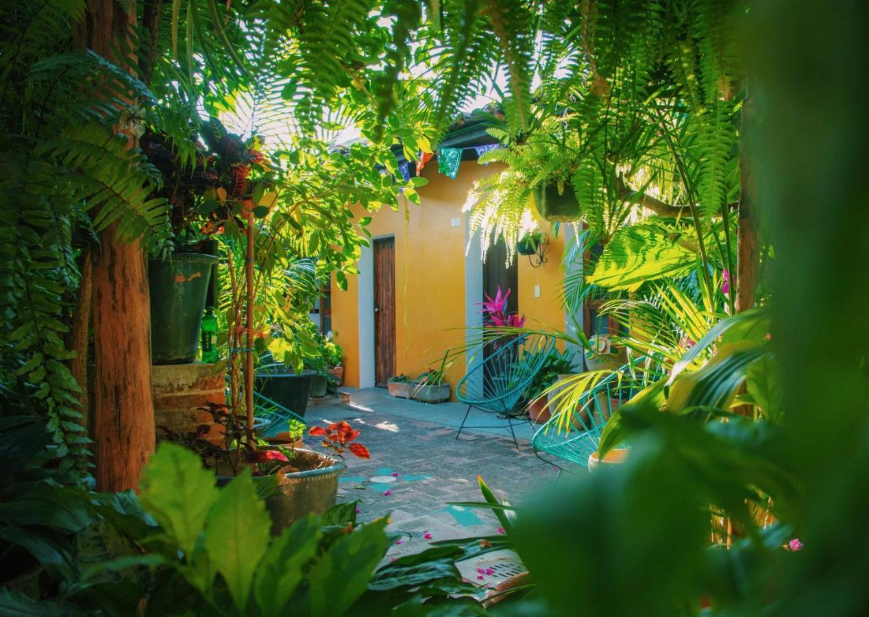 Hotel Las Golondrinas Oaxaca Luaran gambar