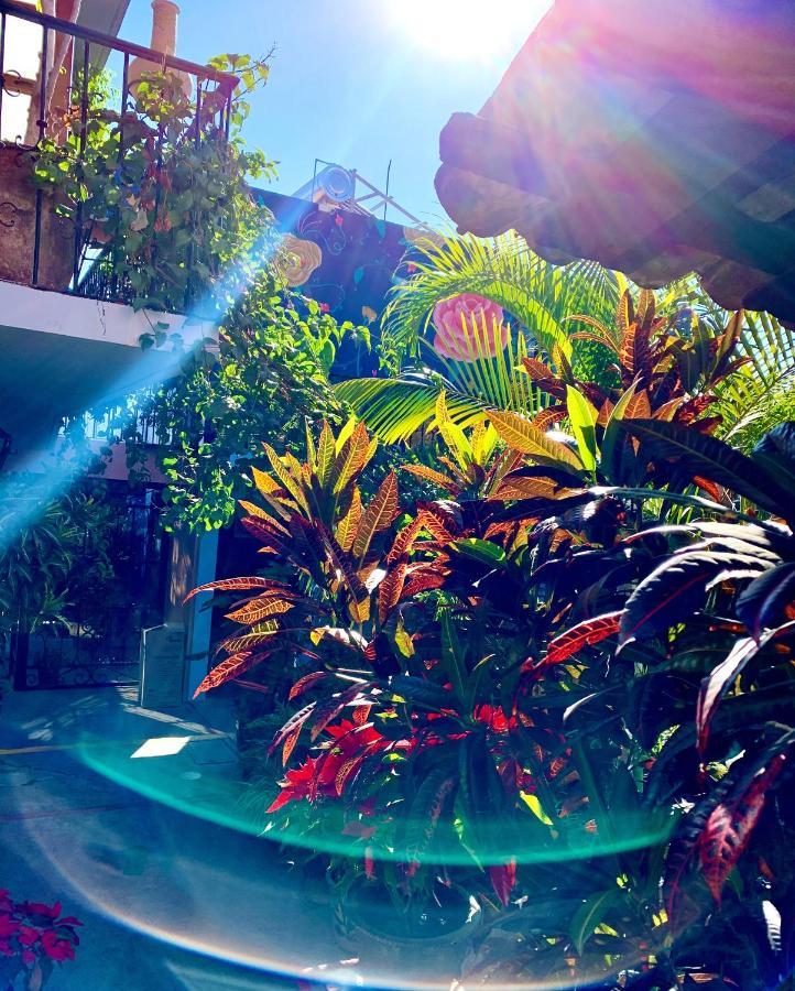 Hotel Las Golondrinas Oaxaca Luaran gambar