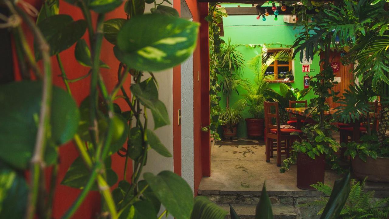 Hotel Las Golondrinas Oaxaca Luaran gambar