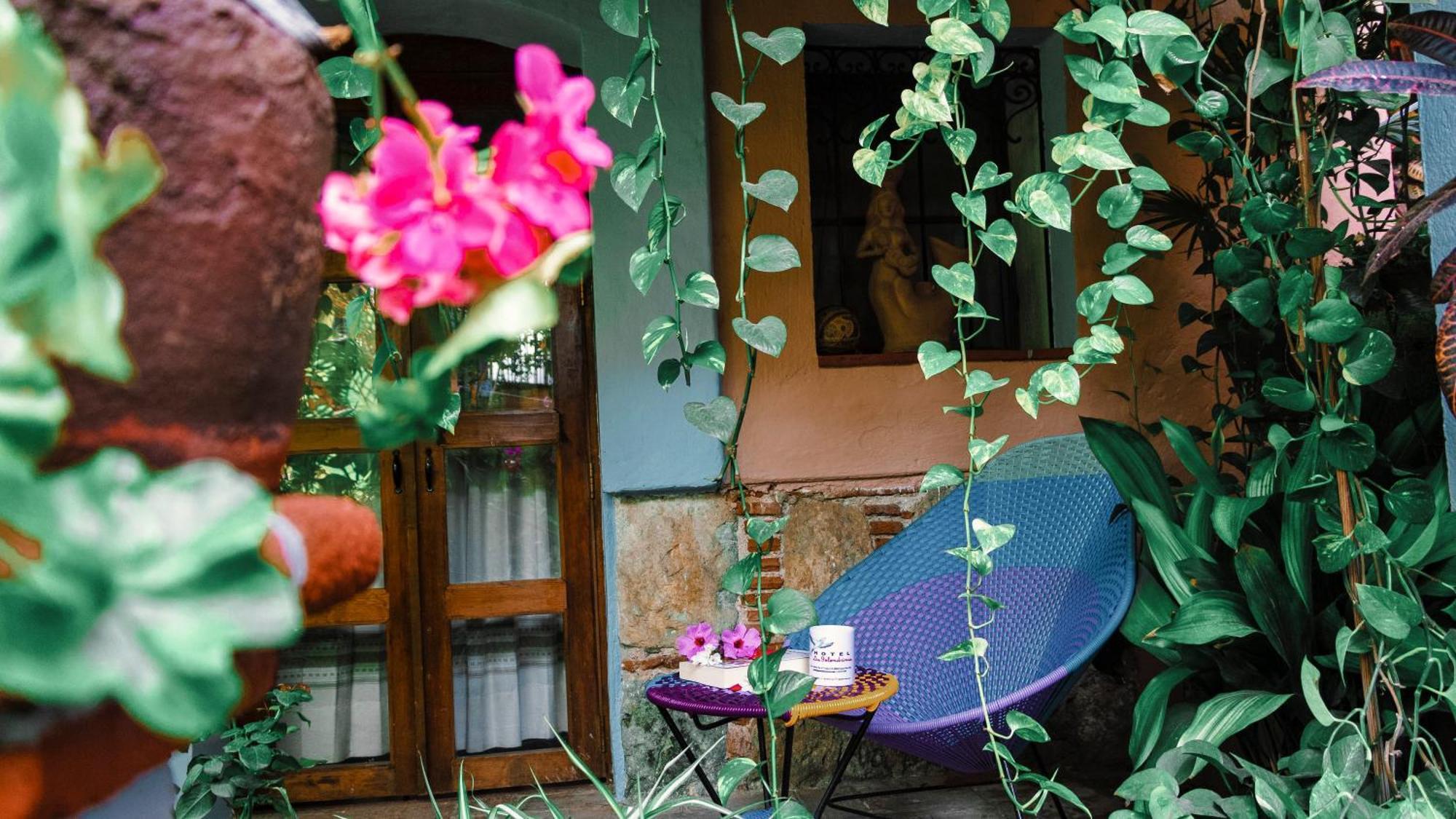 Hotel Las Golondrinas Oaxaca Luaran gambar