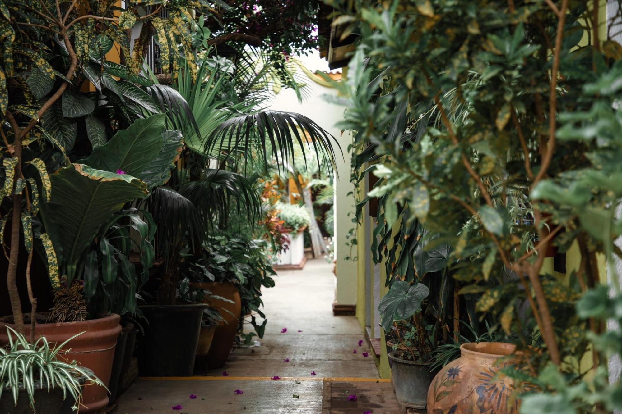 Hotel Las Golondrinas Oaxaca Luaran gambar