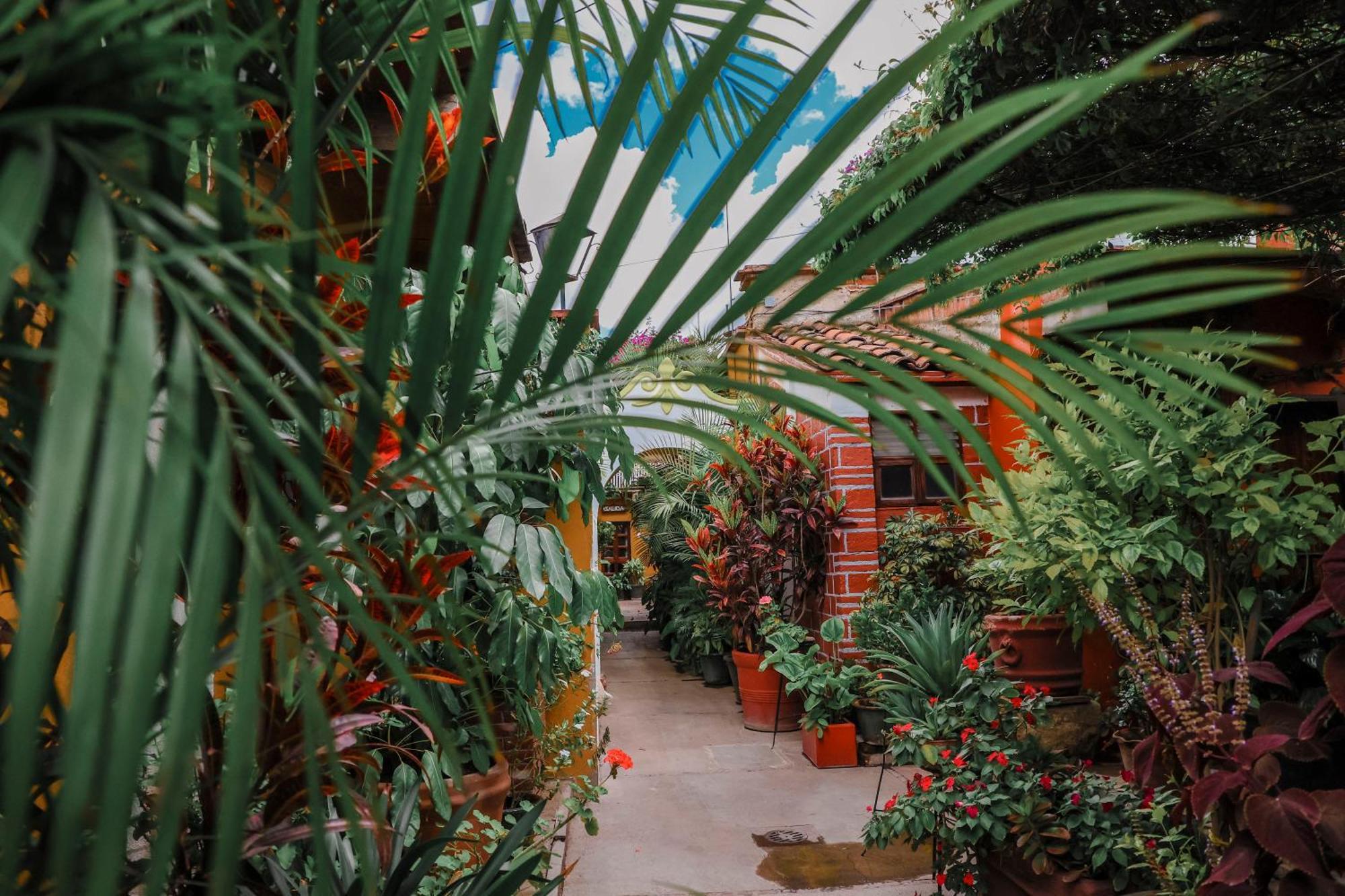 Hotel Las Golondrinas Oaxaca Luaran gambar