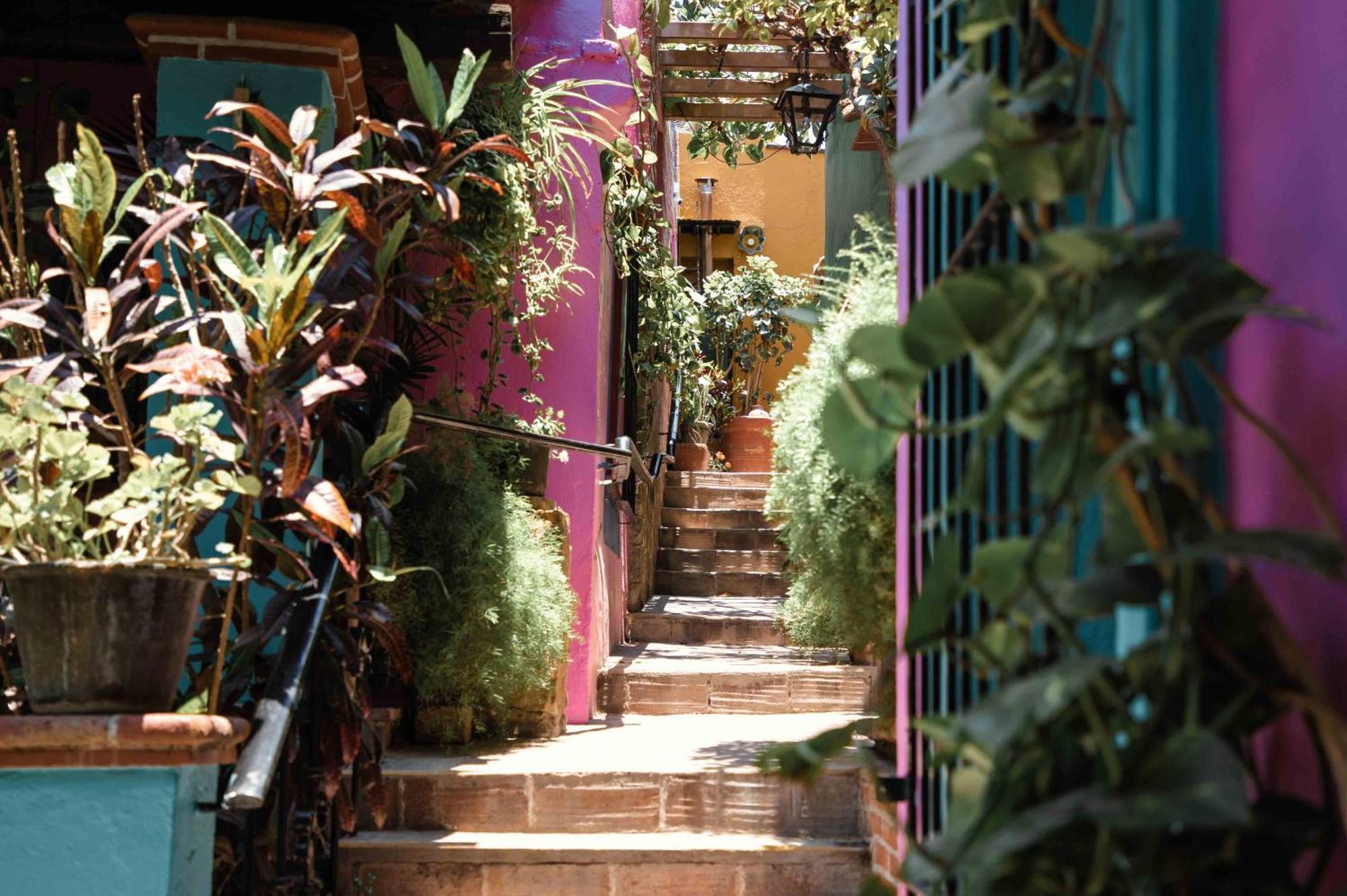 Hotel Las Golondrinas Oaxaca Luaran gambar