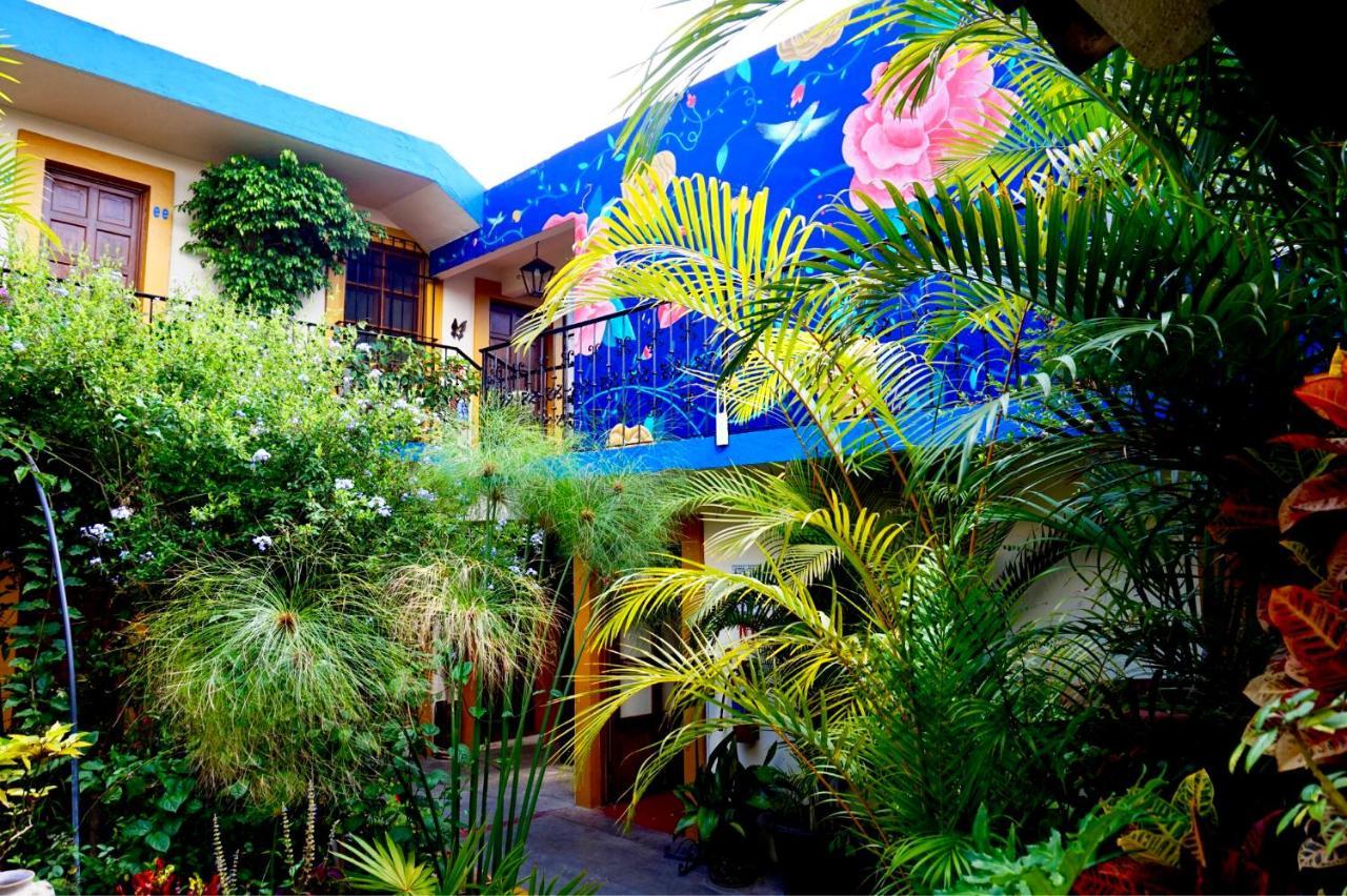 Hotel Las Golondrinas Oaxaca Luaran gambar