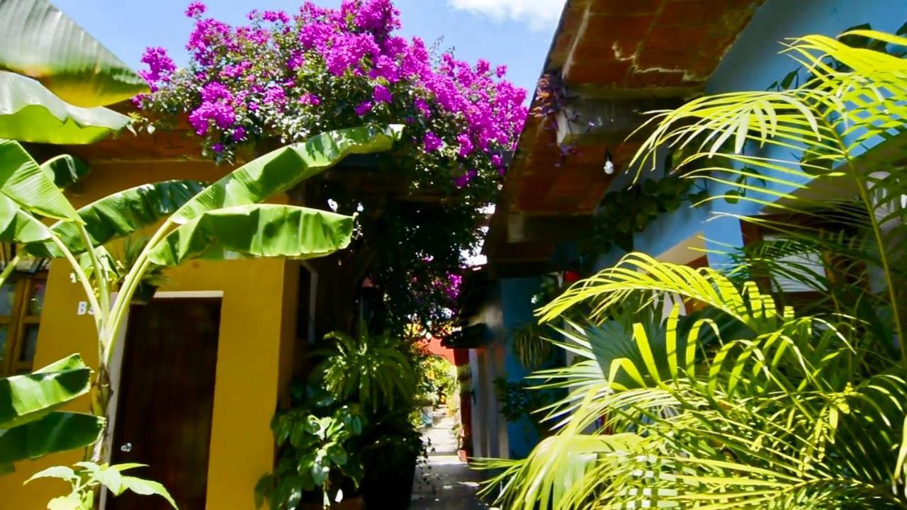 Hotel Las Golondrinas Oaxaca Luaran gambar