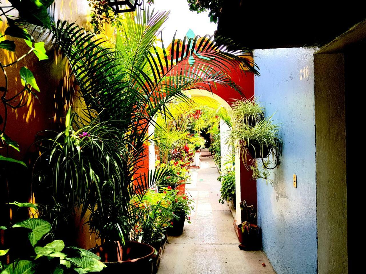 Hotel Las Golondrinas Oaxaca Luaran gambar